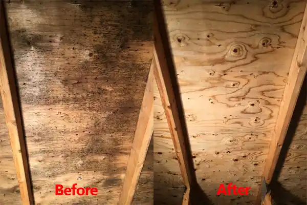 water damage restoration service Shrewsbury